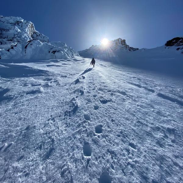 Christmas in July 2021: Rental High Performance Alpine Ski Sale