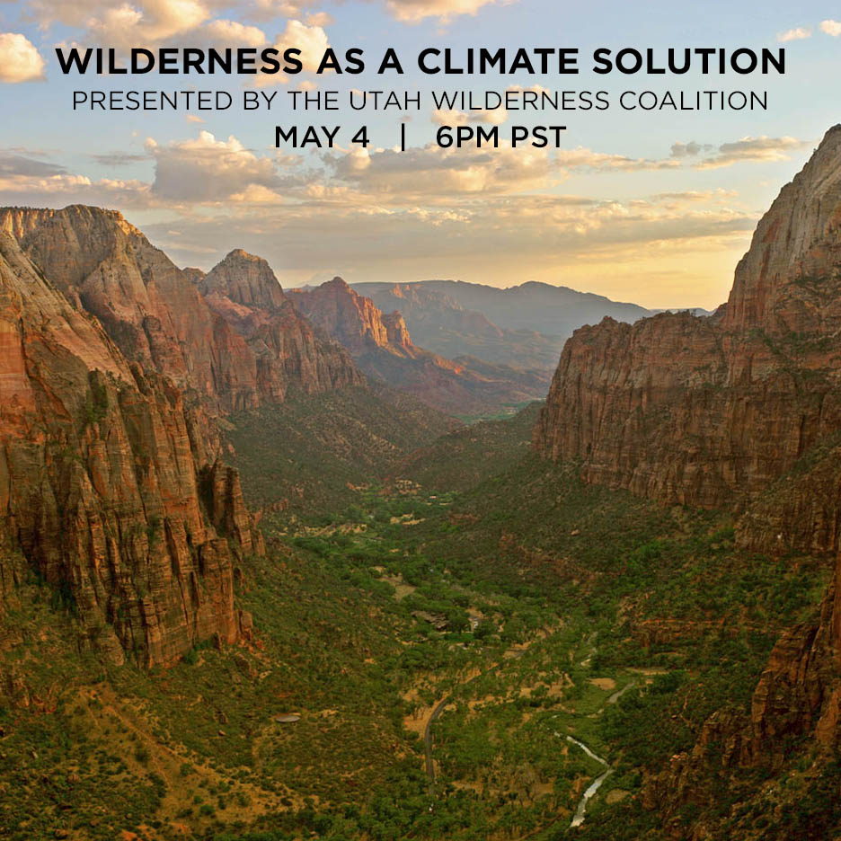 Wilderness as a Climate Solution